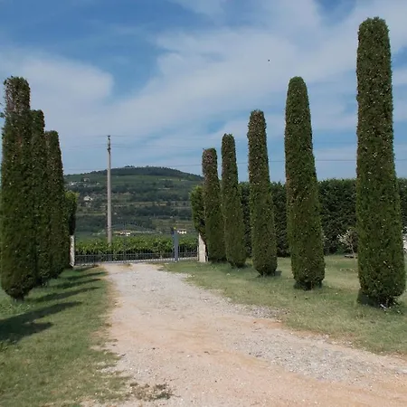 San Pietro *